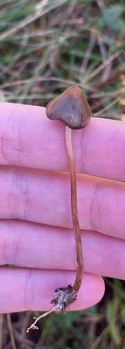 IMG_9970