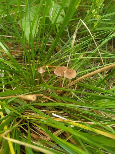 SGCAM_20250906_113256733