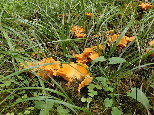 IMG_20240812_120136_copy_1448x1086