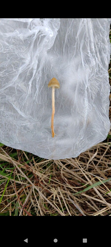 Screenshot_20251011-193918