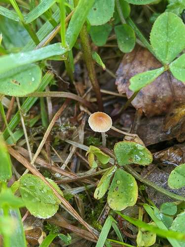 SGCAM_20250705_093251114