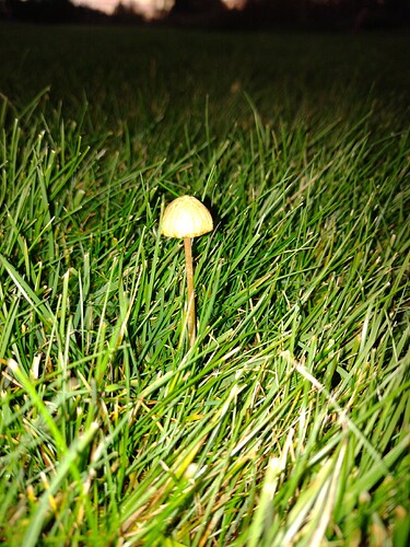 IMG_20251016_182840413