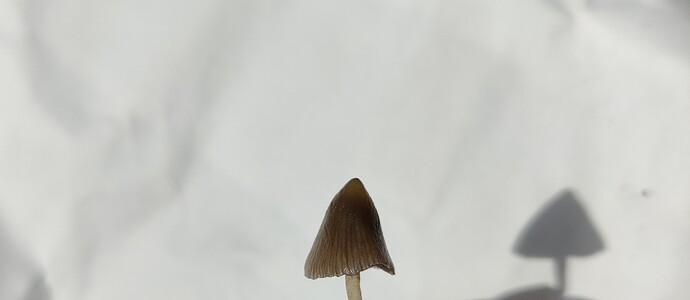 IMG_20230928_130331