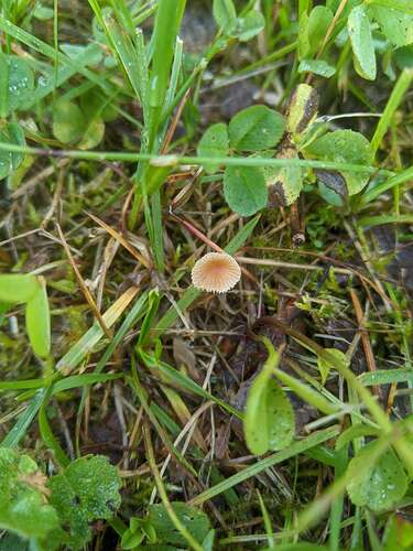 SGCAM_20250705_093629035