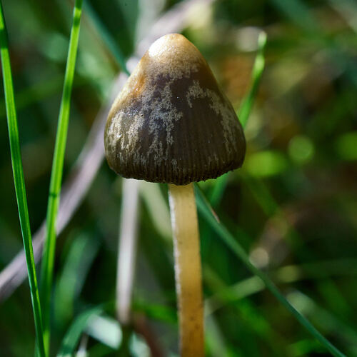 _DSC0364