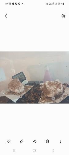 Screenshot_20230222_105550_Gallery