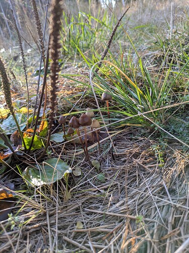 PXL_20251017_113039001