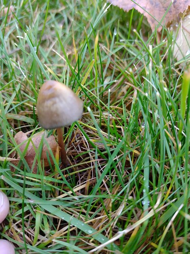 IMG_20251024_163946683