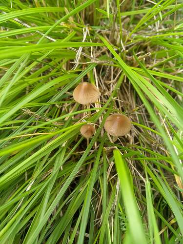 SGCAM_20250906_111343483