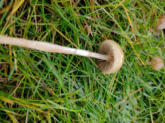 IMG_20251026_155409952