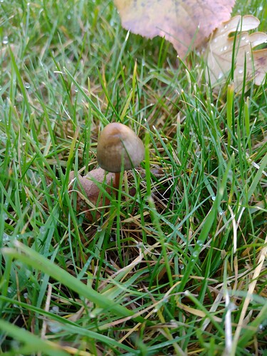 IMG_20251024_163933238