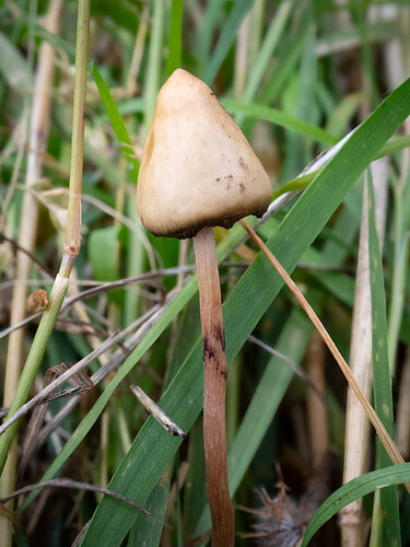 PA050310
