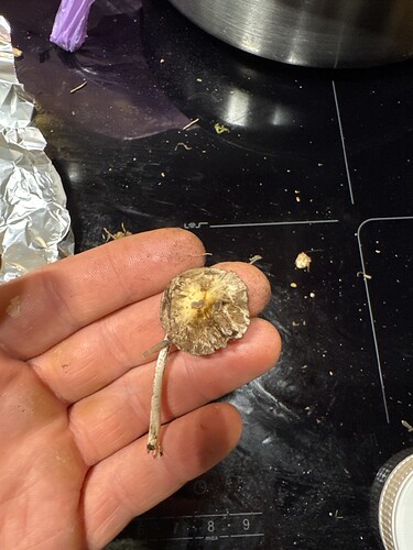 IMG_074572CA-B6FD-441E-8FD1-D39022E0D898