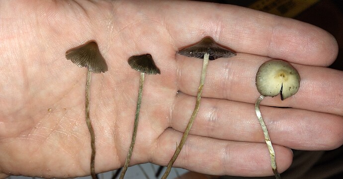 IMG_20250905_171243~2