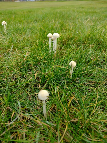 IMG_20251026_154905559