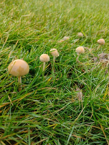 IMG_20251026_155334757