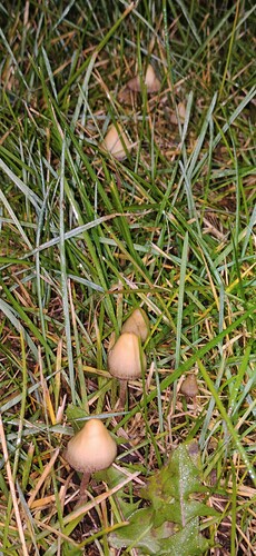 IMG_20230928_224656