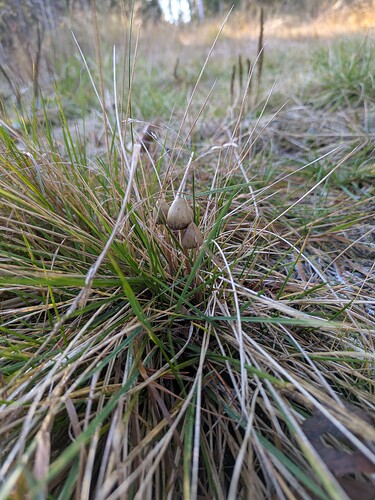 PXL_20251017_113507099