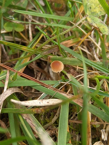 SGCAM_20250831_104737491