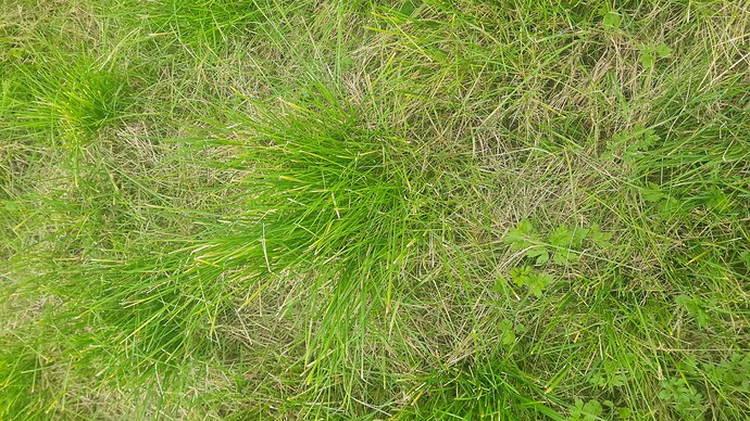 20260809_195443_cleaned