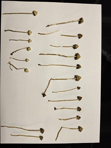 IMG_20250831_151345_HDR