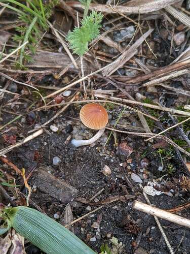 SGCAM_20250828_094639244