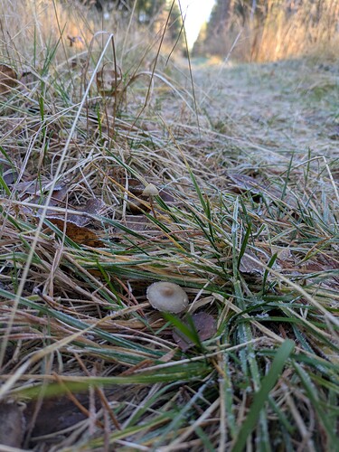 PXL_20251017_114954658