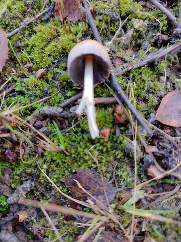 IMG_20251029_154704635