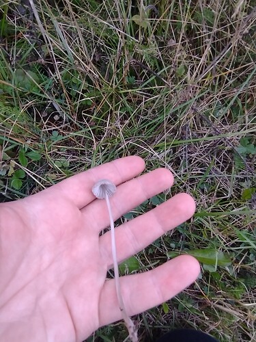 IMG_20250926_184923620