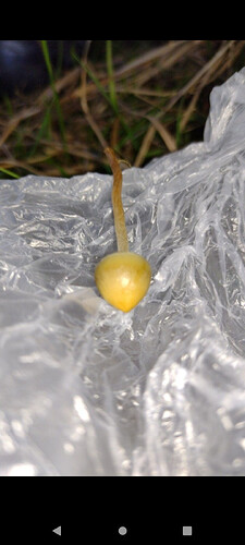 Screenshot_20251011-194028