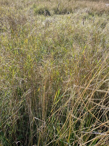 IMG_20250928_120457670_HDR