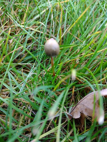 IMG_20251024_164011853