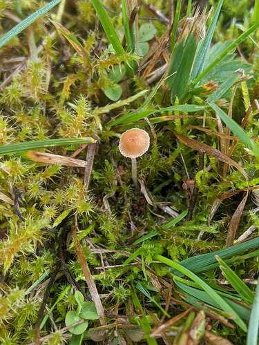 SGCAM_20250828_091621207