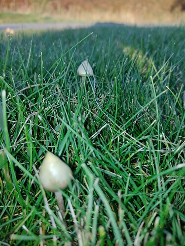 IMG_20251016_172352492