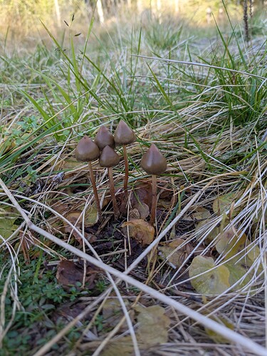 PXL_20251017_113414974