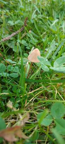 IMG-20231003-WA0012