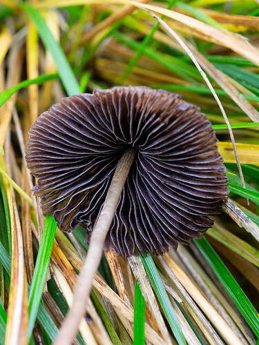 P9250266