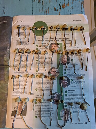 PXL_20251017_143027168