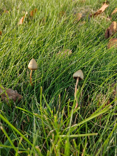 IMG_20251016_163433346_HDR