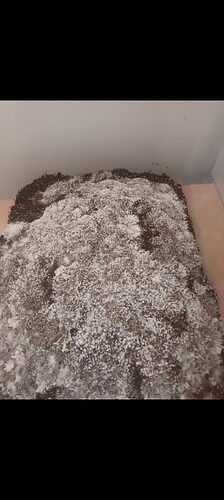 Screenshot_20230222_150146_Gallery