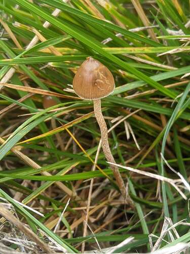 SGCAM_20250906_120408680