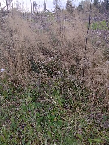 IMG_20250926_184951110