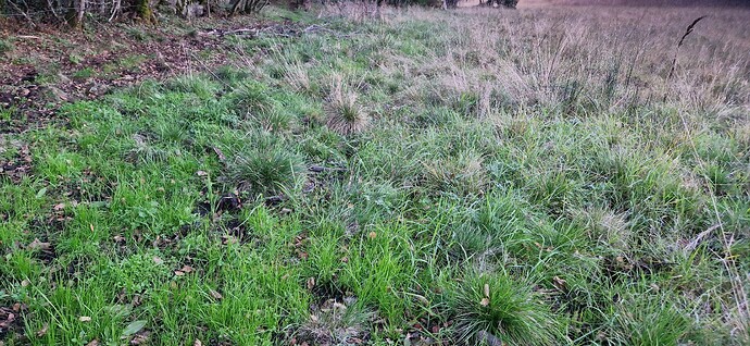 20251002_184535_processed_by_imagy