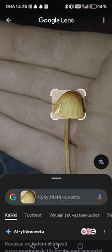 Screenshot_20250924_142529_com_google_android_googlequicksearchbox_LensExportedAct