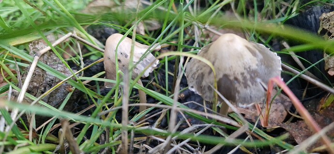 20251002_184653_processed_by_imagy