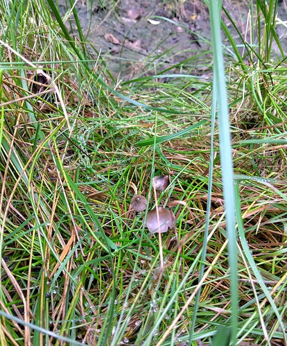 IMG_20250905_160336_HDR~2