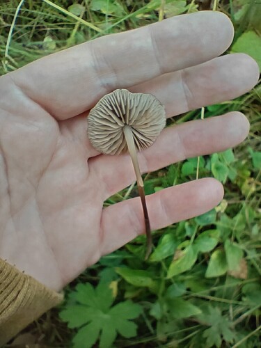 1000041630