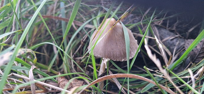 20251002_185347_processed_by_imagy