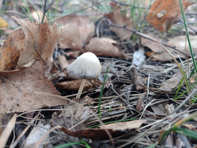 IMG_20250926_181904727