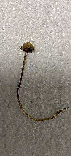 IMG_8522